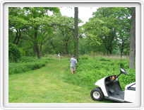 305-0600_IMG.JPG
